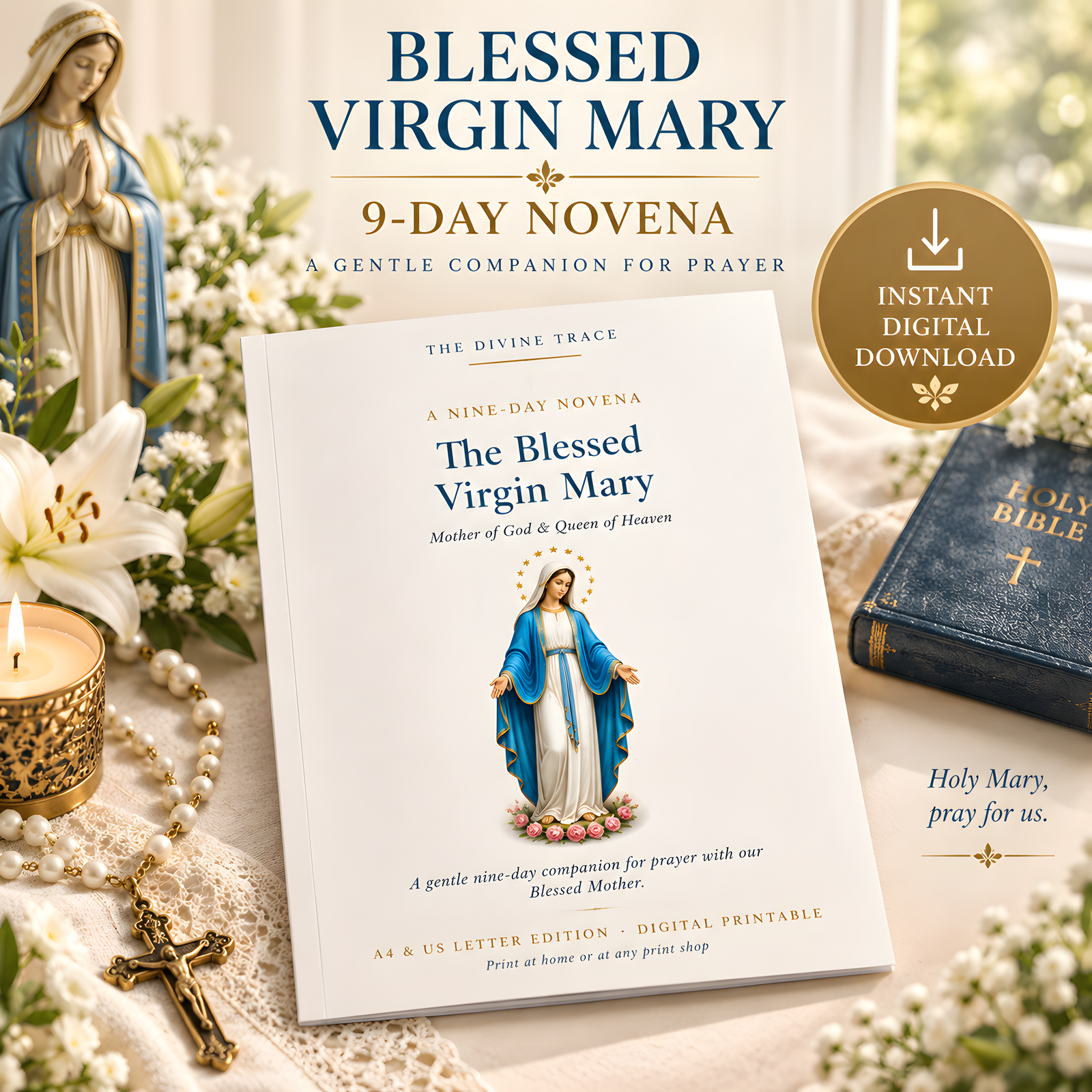 Blessed Virgin Mary 9-Day Novena Prayer Guide