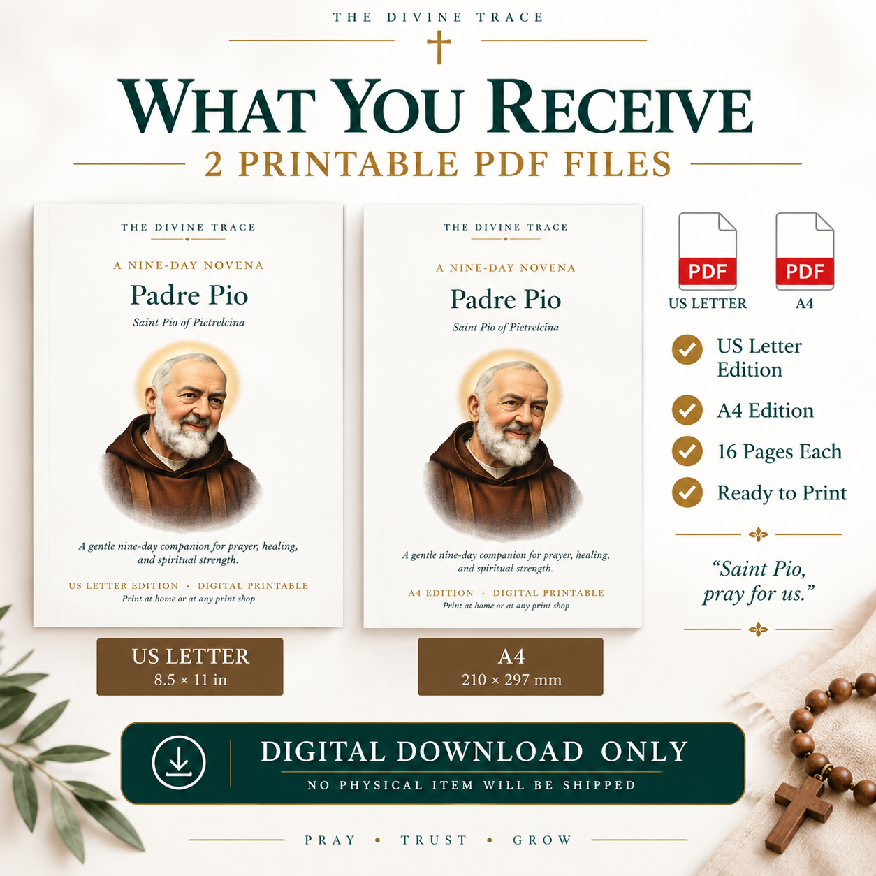Padre Pio 9-Day Novena Prayer Guide - Image 2